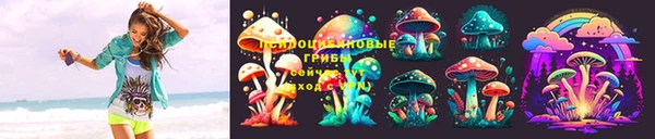 прущие грибы Алексеевка