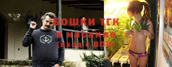 прущие грибы Алексеевка